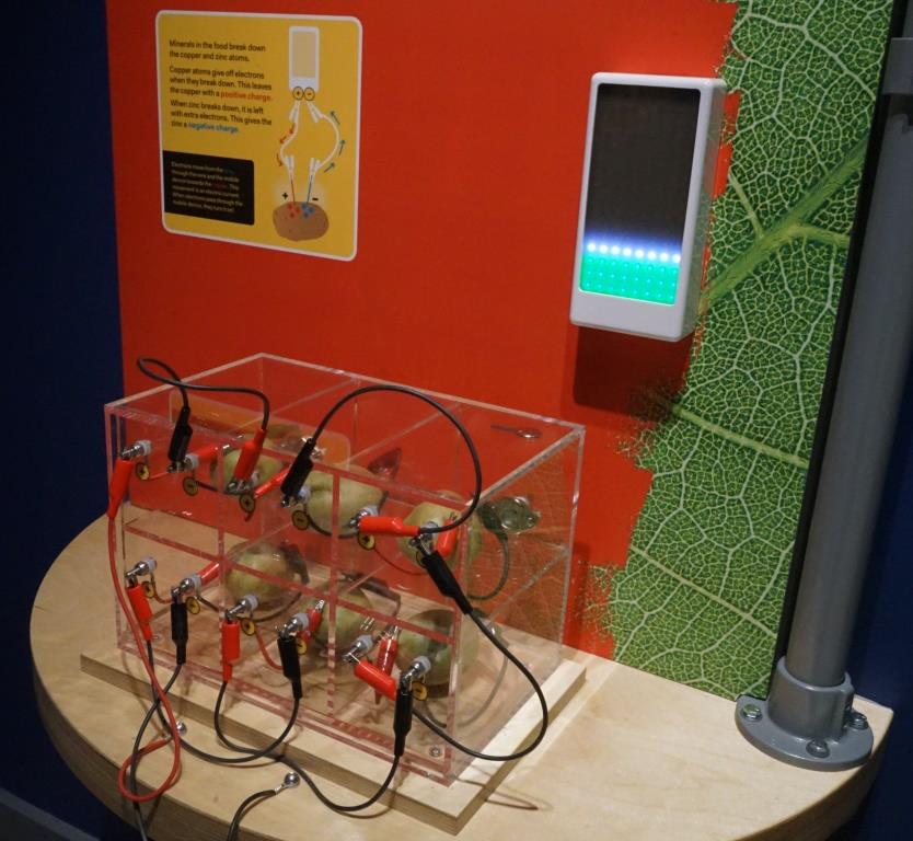 chemical energy circuit