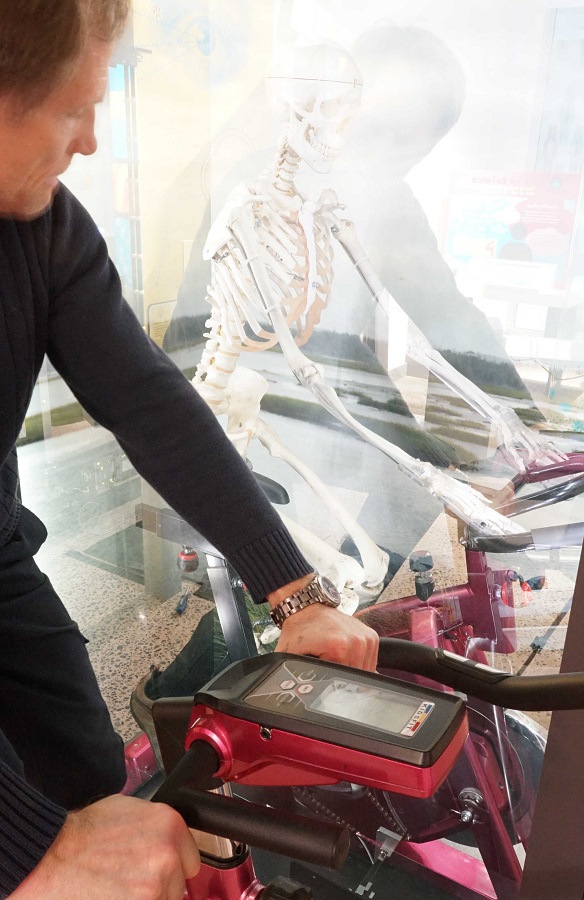 pedalling skeleton reflection
