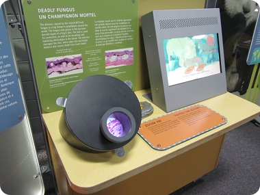 fungus graphic viewer