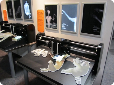 sliding x-ray